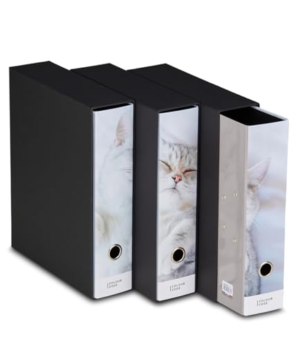 Juego de 3 archivadores de anillas, color blanco, tema... - Jouets & Jeux Amazon Espagne à 37.39€