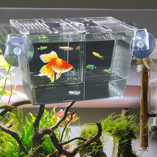 WEFHEF Acrylic Zuchtbecken Fish Aufzuchtbecken Aquarium... - Animalerie en promo à 2.79€