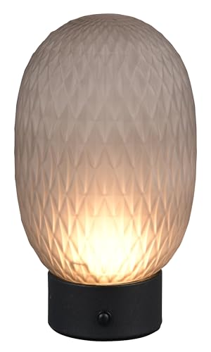 Trio Leuchten LED Akku Tischleuchte Facette 564210154... - High-Tech & Électronique Amazon Allemagne à 13.72€