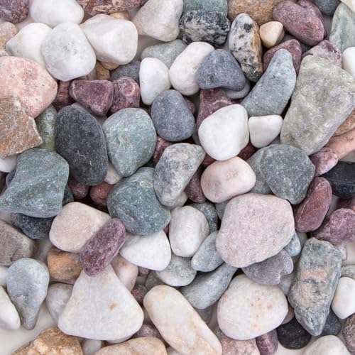 Patapalooza Grava Multicolor Durable, Ideal para decoración... - Nouvelle promo Amazon à 3.07€