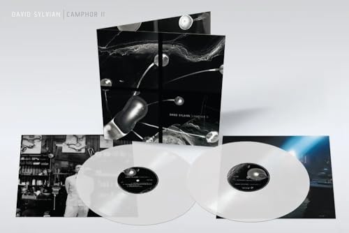 Camphor II - Limited Colored Vinyl [Vinyl LP] [VINYL] - Musique & Instruments Amazon Royaume-Uni à 39.28€