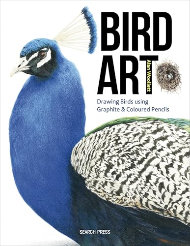 Bird Art: Drawing Birds Using Graphite & Coloured Pencils - Amazon Royaume-Uni à 2.99€