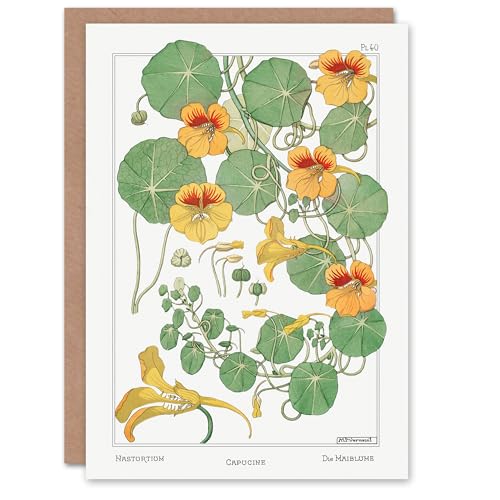 Artery8 Maurice Pillard Verneuil Art Card Nasturtium Flower - Jardin & Extérieur Amazon Royaume-Uni à 2.50€