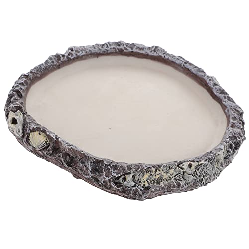 Parliky Reptile Water Bowl and Food Feeder Small Size... - Maison & Cuisine Amazon Royaume-Uni à 9.89€