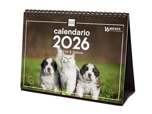 Finocam - Calendario da tavolo 2026 Mese Vista Gennaio... - Jouets & Jeux en promo à 3.49€