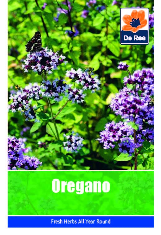 Oregano Seeds - 855 Seeds Vegetable Grow Your Own Garden... - Jardin & Extérieur Amazon Royaume-Uni à 1.99€