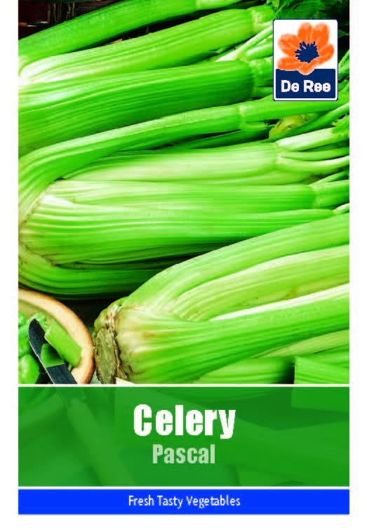 Celery Pascal Seeds - 1070 Seeds Vegetable Grow Your Own... - Jardin & Extérieur Amazon Royaume-Uni à 1.99€