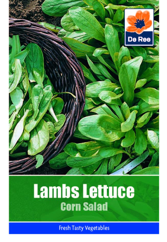 Vegetable Seeds for Growing Lambs Lettuce Corn Salad 260... - Jardin & Extérieur Amazon Royaume-Uni à 1.99€
