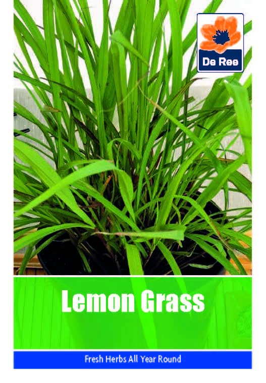 Vegetable Seeds for Growing Lemon Grass 370 Seeds Grow Your... - Jardin & Extérieur Amazon Royaume-Uni à 1.99€