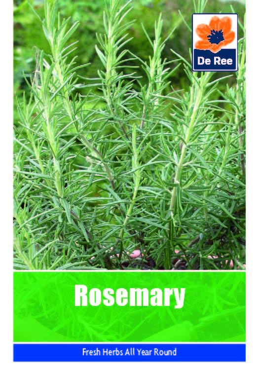 Vegetable Seeds for Growing Rosemary 34 Seeds Grow Your Own... - Jardin & Extérieur Amazon Royaume-Uni à 1.99€