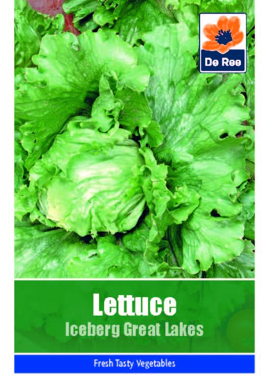 Vegetable Seeds for Growing Lettuce Iceberg Great Lakes 855... - Jardin & Extérieur Amazon Royaume-Uni à 1.99€