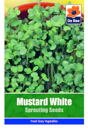 Vegetable Seeds for Growing Mustard White Sprouting 270... - Jardin & Extérieur Amazon Royaume-Uni à 1.99€