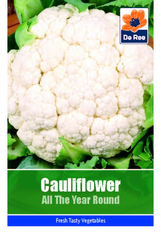 Vegetable Seeds for Growing Cauliflower All The Year Round... - Jardin & Extérieur en promo à 1.99€