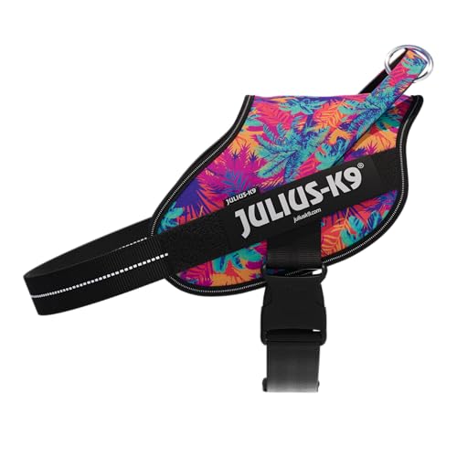 Powergeschirr 2025, Power&More, Größe: 2XL, Vibe - Amazon Allemagne à 17.23€
