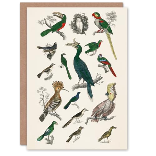 Artery8 Oliver Goldsmith Art Card Various Birds Vintage... - Auto & Moto en promo à 1.97€