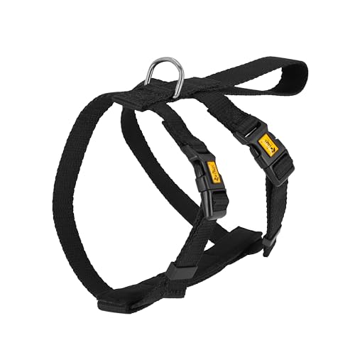 Dingo Waldemar Rutkowski Lightweight and Adjustable Dog... - Amazon Royaume-Uni à 6.88€