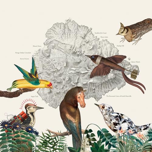 The Birds of Marsville [Vinilo] - Musique & Instruments Amazon Espagne à 10.54€