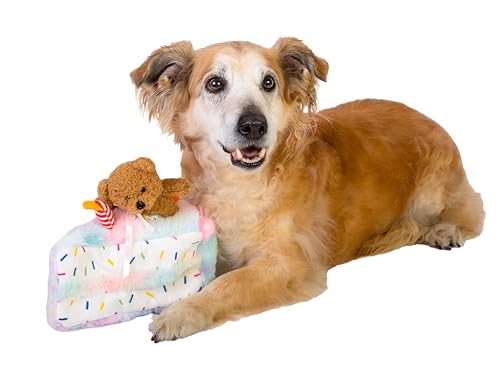 Dingo Waldemar Rutkowski Jouet en Peluche pour Chien –... - Jouets & Jeux Amazon France à 7.53€