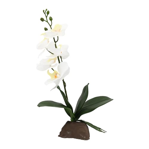 Lucky Reptile Scape it Easy Petite orchidée Blanche env. 35... - Garden & Outdoor Amazon France à 10.14€