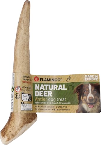 friandise Chien – Snack Nature Bois de cerf Hard – Taille M... - Beauté & Parfums Amazon France à 8.28€