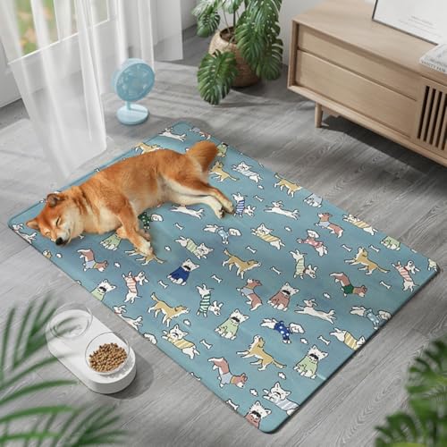 Mateju Dog Cooling Mat, Pet Cooling Mat, Reusable Washable... - Animalerie Amazon Royaume-Uni à 1.69€