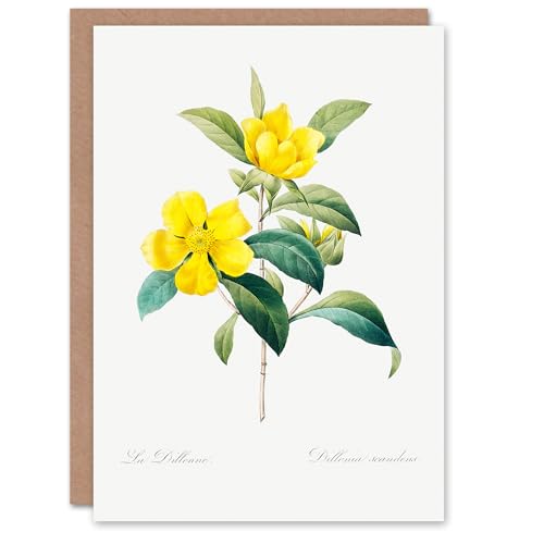 Artery8 Pierre-Joseph Redouté Art Card Golden Guinea Vine... - Garden & Outdoor Amazon UK à 1.95€