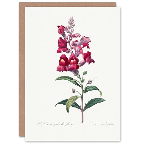 Artery8 Pierre-Joseph Redouté Art Card Antirrhinum Dragon... - Garden & Outdoor Amazon UK à 2.01€