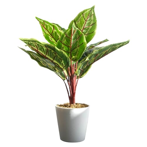 Leaf Realistic Artificial Potted Foliage Plants, 38cm... - Garden & Outdoor Amazon UK à 10.19€