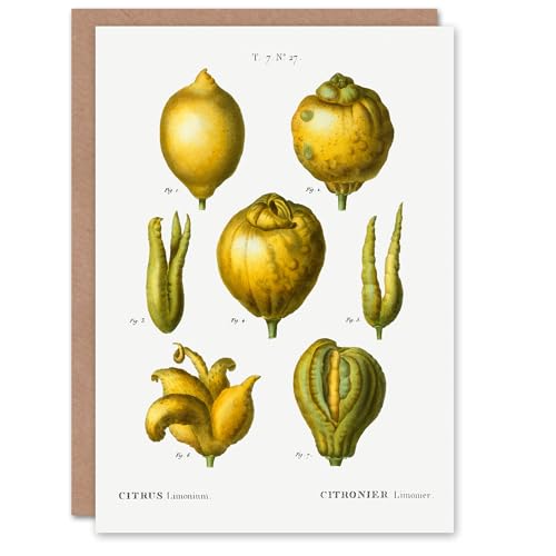 Artery8 Pierre-Joseph Redouté Art Card Lemon Citrus Fruit... - Auto & Moto Amazon Royaume-Uni à 1.95€