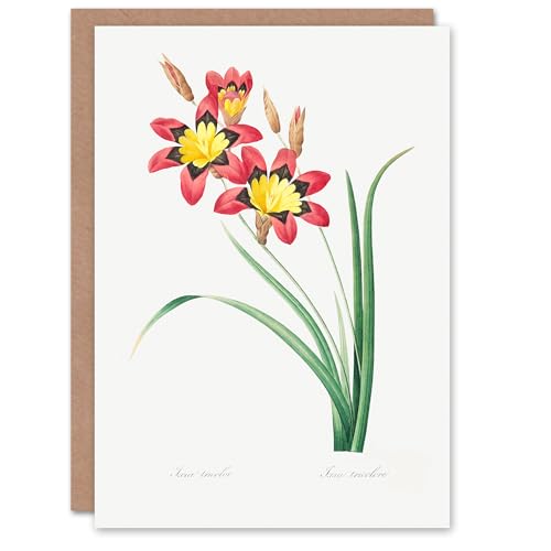 Artery8 Pierre-Joseph Redouté Art Card Harlequin Flowers... - Garden & Outdoor Amazon UK à 1.95€
