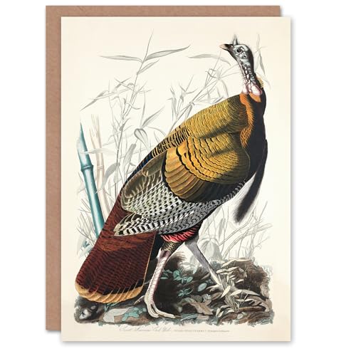 Artery8 John James Audubon Art Card Birds of America Wild... - Auto & Moto Amazon Royaume-Uni à 2.16€