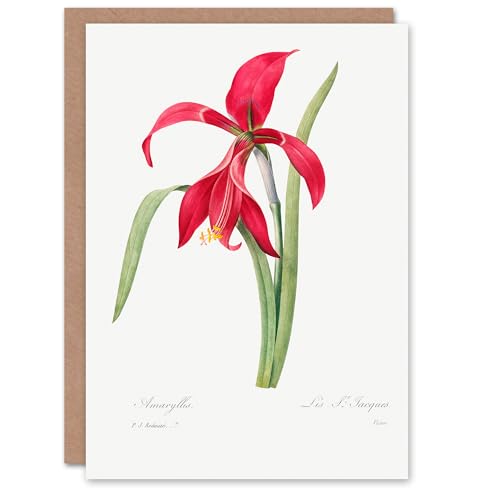 Artery8 Pierre-Joseph Redouté Art Card Amaryllis Flower... - Jardin & Extérieur Amazon Royaume-Uni à 2.39€
