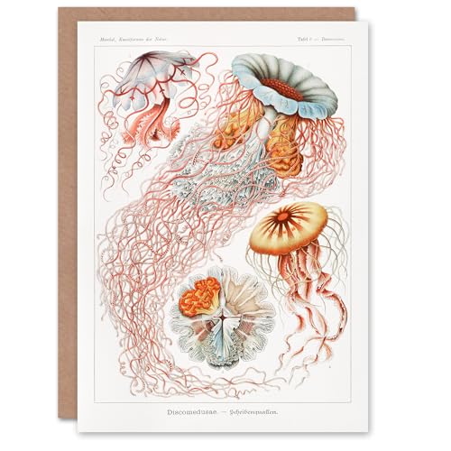 Artery8 Ernst Haeckel Art Card Lions Mane Jellyfish... - Auto & Moto Amazon Royaume-Uni à 2.16€