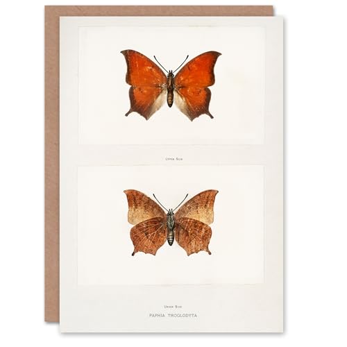 Artery8 Sherman Denton Art Card Tropical Leafwing Butterfly - Auto & Motorcycle Amazon UK à 1.95€