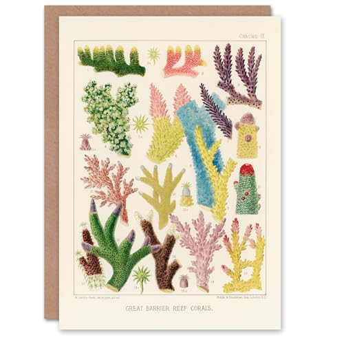Artery8 William Saville Kent Art Card Great Barrier Reef... - Auto & Motorcycle Amazon UK à 2.00€