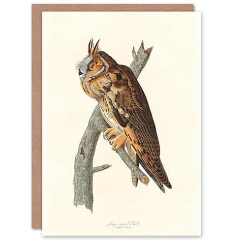 Artery8 John James Audubon Art Card Birds Of America Long... - Auto & Moto Amazon Royaume-Uni à 2.59€