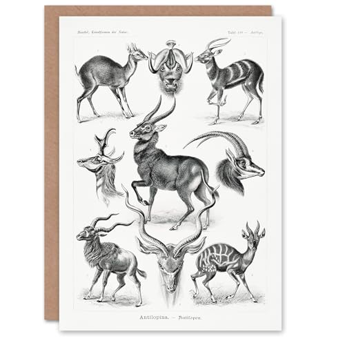 Artery8 Ernst Haeckel Art Card Art Forms of Nature Antilope - Auto & Moto Amazon Royaume-Uni à 1.95€