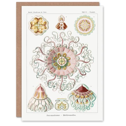Artery8 Ernst Haeckel Art Card Peromedusae Jellyfish... - Auto & Moto Amazon Royaume-Uni à 2.16€