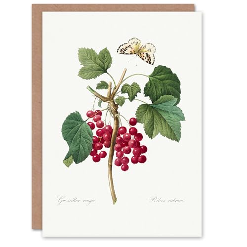 Artery8 Pierre-Joseph Redouté Art Card Redcurrant Berries... - Auto & Moto en promo à 2.11€