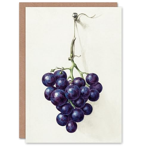 Artery8 Jean Bernard Art Card Bunch of Blue Grapes Oil... - Auto & Moto Amazon Royaume-Uni à 1.95€