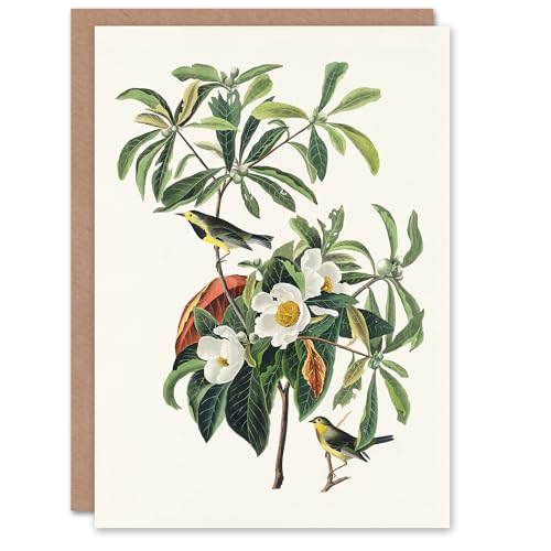 Artery8 John James Audubon Art Card Bachmans Warbler and... - Auto & Moto Amazon Royaume-Uni à 2.08€
