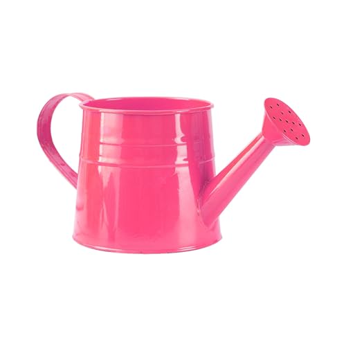 Small Metal Watering Can Outdoor Indoor Watering Can Plants... - Jardin & Extérieur Amazon Royaume-Uni à 0.99€