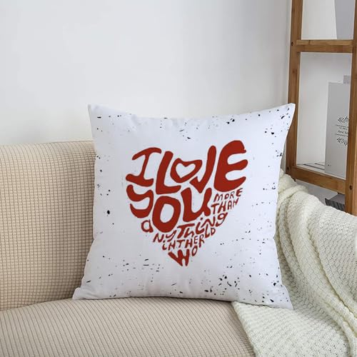 HRRASFAZF Cuscino di divano cuscino decorazione cuscino... - High-Tech & Électronique Amazon Italie à 9.99€