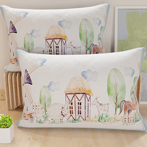 PETTI Artigiani Italiani – 2 Kissenbezüge 60x40 cm... - Home & Kitchen Amazon Germany à 18.12€