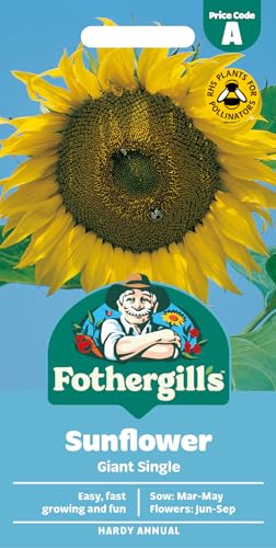 Fothergill's Sunflower Giant Single Flower Seeds, 75 Seeds... - Jardin & Extérieur Amazon Royaume-Uni à 1.99€