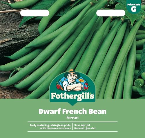 Fothergill's Dwarf French Bean Ferrari, Vegetable Seeds... - Jardin & Extérieur Amazon Royaume-Uni à 3.79€
