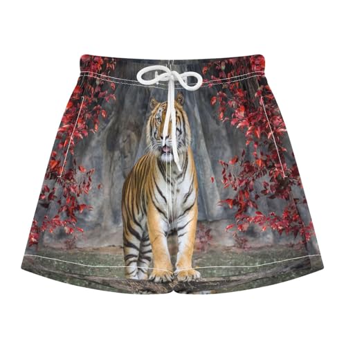 Jungen-Shorts, Tier-Tigerdruck, Sommer, lässig, schnell... - Sports & Fitness Amazon Allemagne à 17.28€
