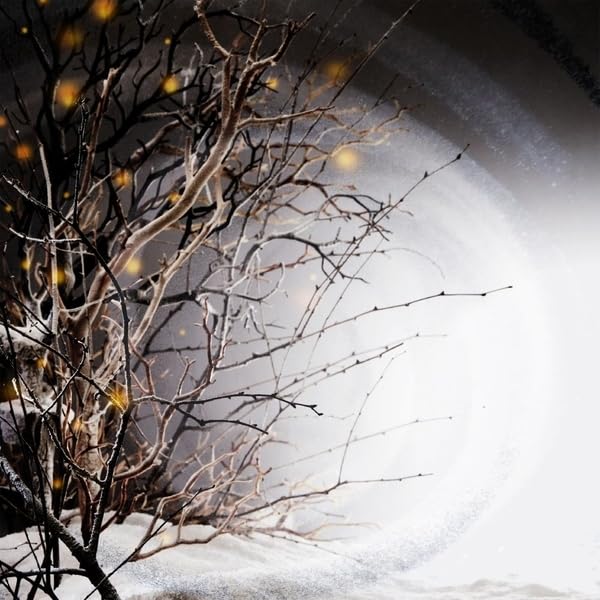 Winterlight [Vinyl LP] - Amazon Allemagne à 19.44€