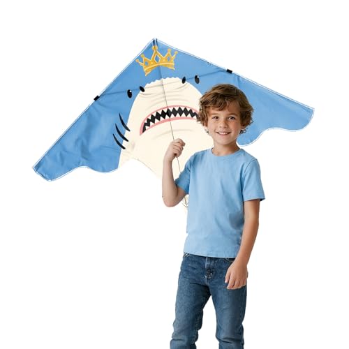 Grand cerf-volant de plage pour adultes et enfants, facile... - Toys & Games Amazon France à 8.17€