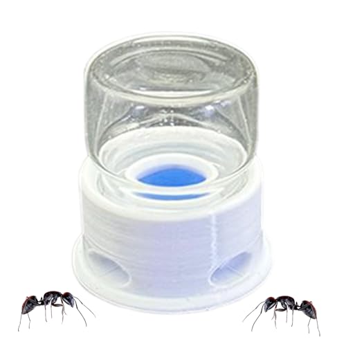 Huehkir Distributeur Transparent pour Fourmis,Abreuvoir... - Animalerie Amazon France à 3.07€